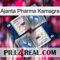 Ajanta Pharma Kamagra viagra5